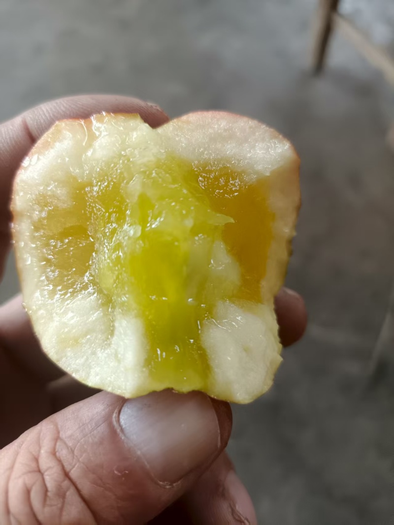 云南红露苹果新鲜上市脆甜可口量大从优欢迎采购正在热卖中