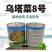 【正宗黄心】乌塌菜8号种子基地专用罐装耐寒奶油黄心乌塌