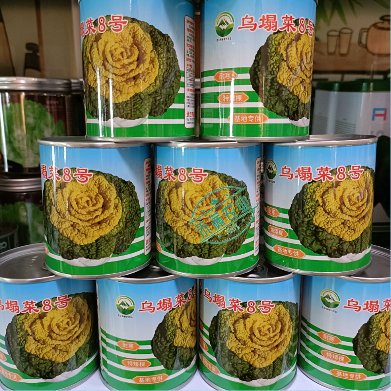 【正宗黄心】乌塌菜8号种子基地专用罐装耐寒奶油黄心乌塌