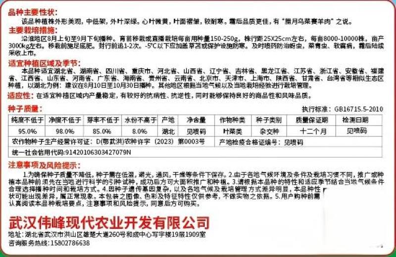 【正宗黄心】乌塌菜8号种子基地专用罐装耐寒奶油黄心乌塌