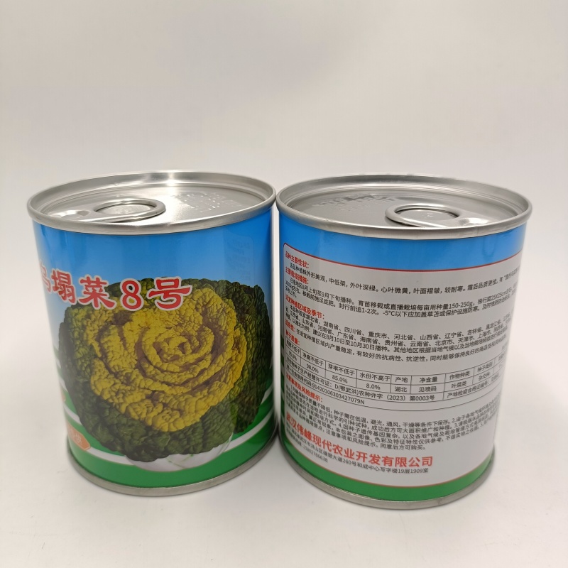 【正宗黄心】乌塌菜8号种子基地专用罐装耐寒奶油黄心乌塌