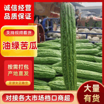 绿油苦瓜产地正在大量上市中，质量保证，货量充足！！！！！