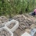 【热卖中】江西紫玉淮山药紫山药批发一件代发按需包装
