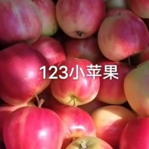 辽宁苹果123苹果基地一手货源对接电商市场商超