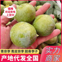 青脆李&青皮奈李&脱骨李/产地直供/对接批发市场/电商