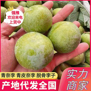 青脆李&青皮奈李&脱骨李/产地直供/对接批发市场/电商