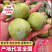 青脆李&青皮奈李&脱骨李/产地直供/对接批发市场/电商