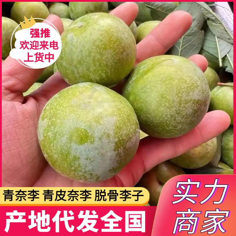 青脆李&青皮奈李&脱骨李/产地直供/对接批发市场/电商