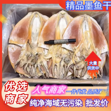 墨鱼干6-8浙江本港墨鱼干淡干墨鱼规格齐全欢迎联