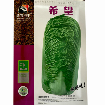 青麻叶白菜种子新三号直简叠抱心叶黄芯口感甜脆