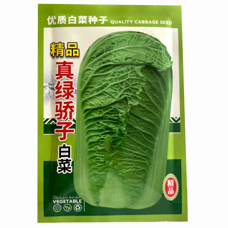真绿娇子白菜种子20g早熟青麻叶秋播晚熟杂交大田基地