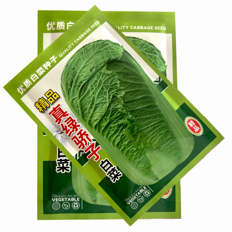 真绿娇子白菜种子20g早熟青麻叶秋播晚熟杂交大田基地