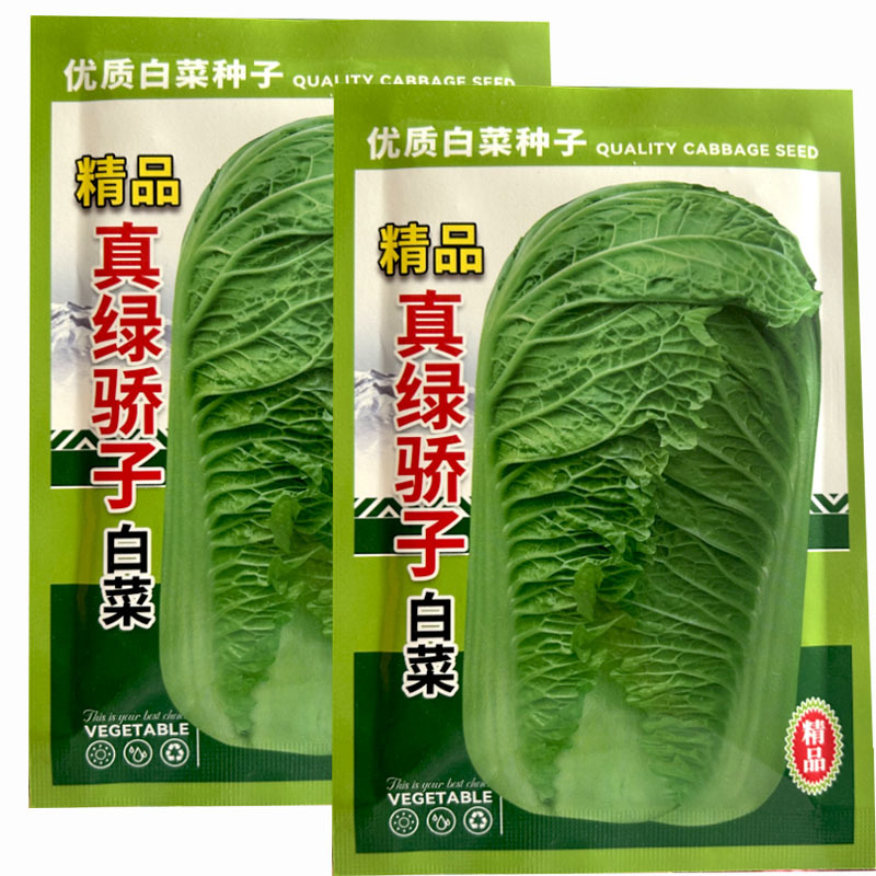 真绿娇子白菜种子20g早熟青麻叶秋播晚熟杂交大田基地