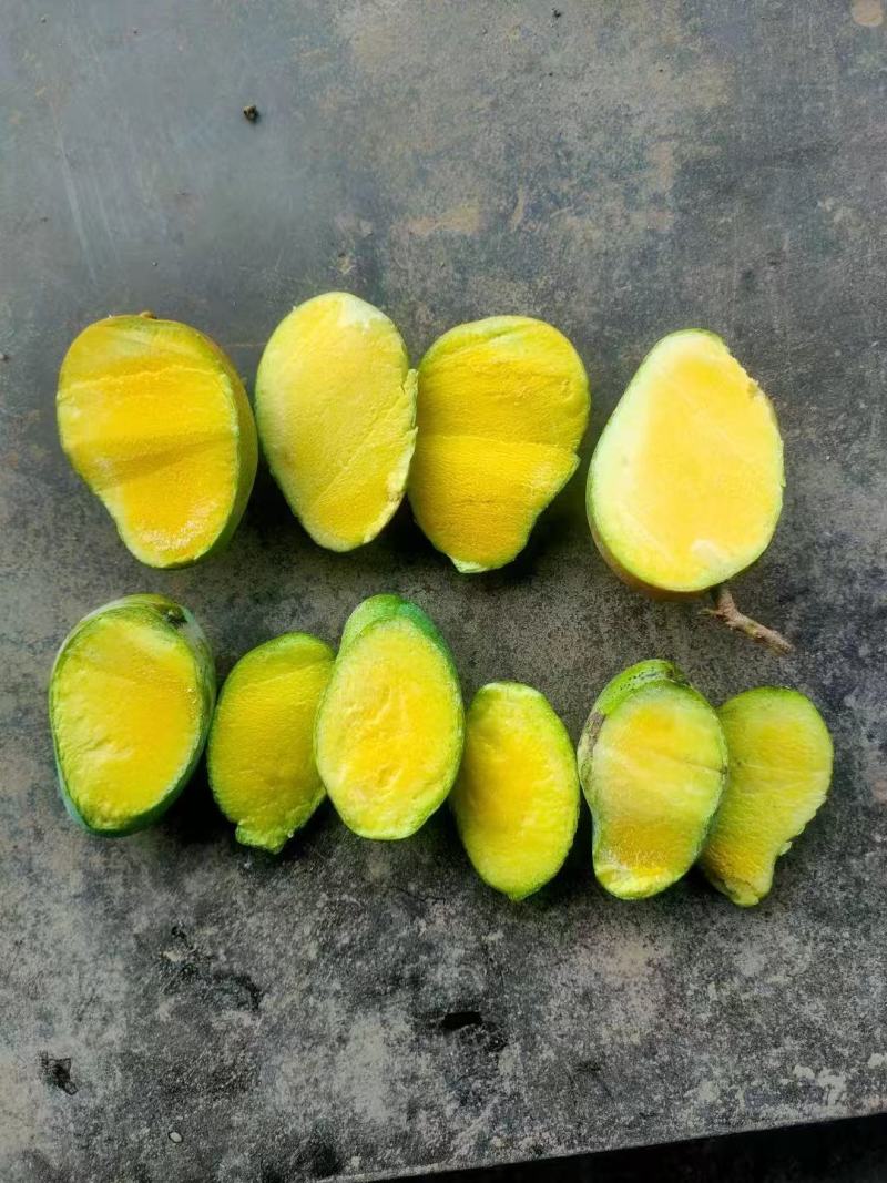 芒果工厂果/果浆果/饮料果产地直发对接工厂等
