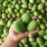 芒果工厂果/果浆果/饮料果产地直发对接工厂等