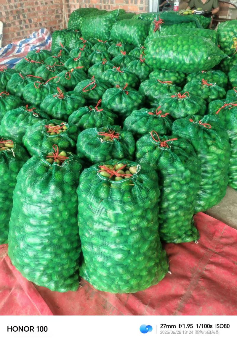 芒果工厂果/果浆果/饮料果产地直发对接工厂等