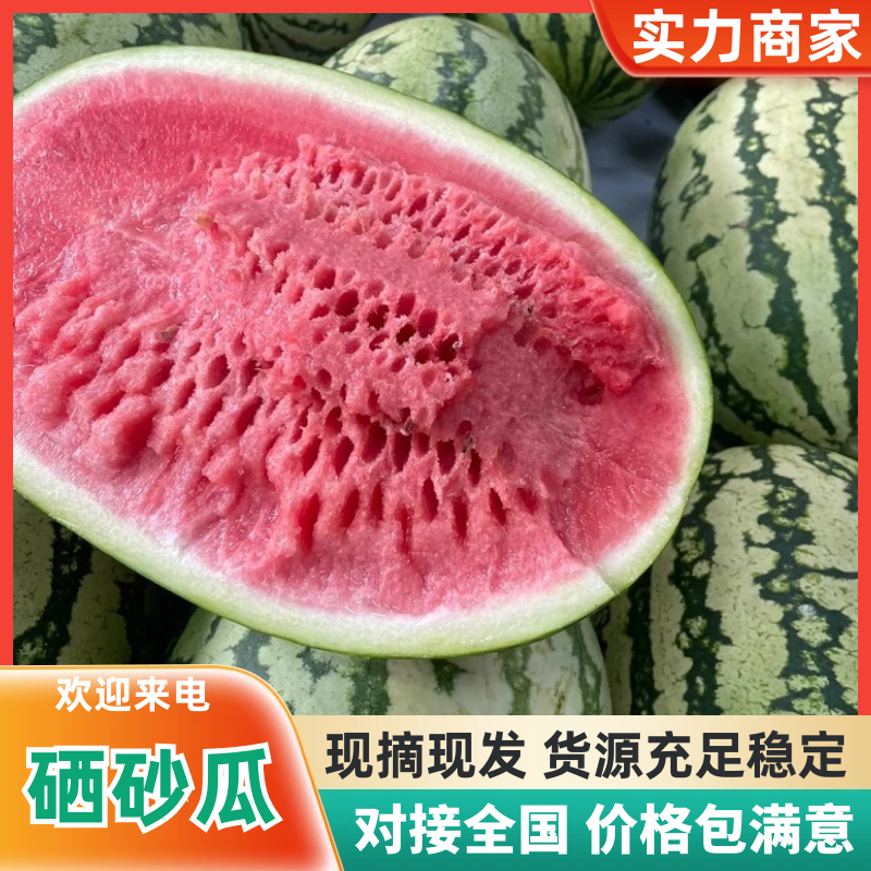 【包熟包甜】硒砂瓜宁夏硒砂瓜现摘现发代发全国市场