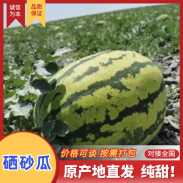 硒砂瓜中卫硒砂瓜包熟包甜基地直发欢迎来电咨询