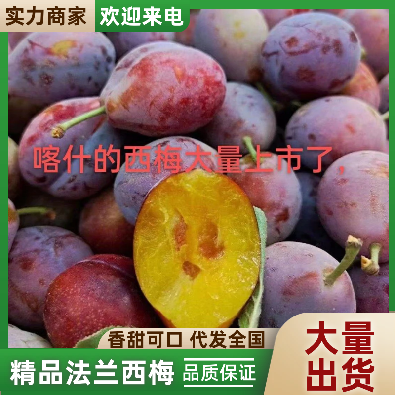 精品阿克苏法兰西梅货源充足量大从优质量保证欢迎咨询