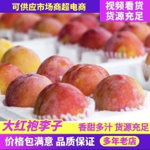 辽宁精品大红袍李子，量大从优，对接电商，欢迎咨询