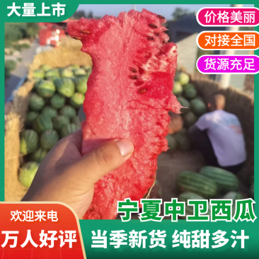 宁夏石头瓜，火热进行中，欢迎新老顾客回购