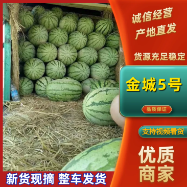 宁夏中卫西瓜，金城5号硒砂瓜，康乐6号硒砂瓜大吨位供市场