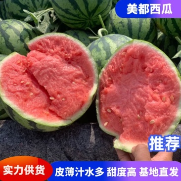 美都西瓜陕西西瓜基地直发包熟包甜量大从优代发全国