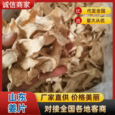 姜干姜片风干姜片烘干姜片产地一手货源大量供应