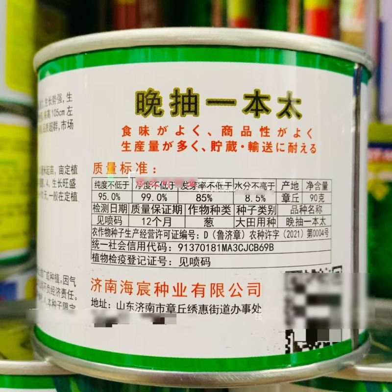 晚抽一本太大葱种子耐热耐寒耐涝山东大葱种籽钢葱种子抽苔晚