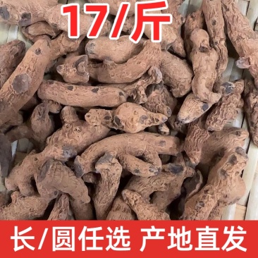 血三七云南血三七红三七纽子七大货批发三七