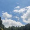 王开辉的一亩田店铺