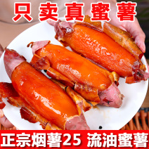 烟薯25号