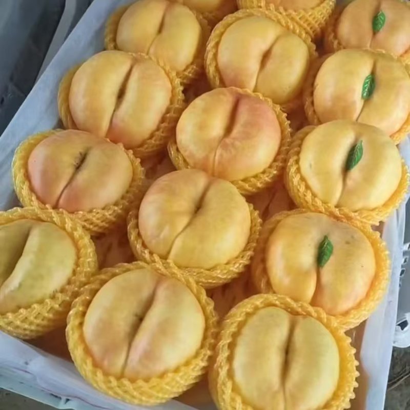 河北油蟠桃九号大量上市口感脆甜个头大，量大从优