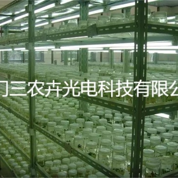 90cm-草莓育苗组培灯