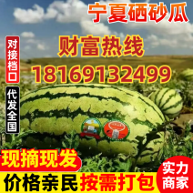 宁夏西瓜/硒砂瓜/石头瓜/金城系列/金花系列全国代发保熟保甜