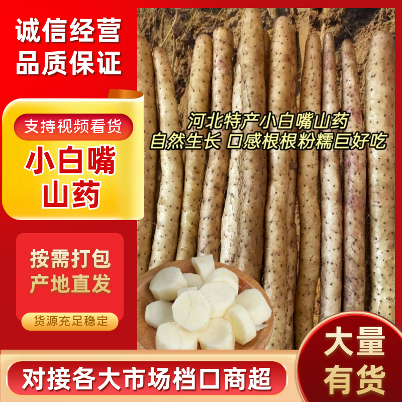 (推荐)小白嘴山药质优。基地直供连锁超市电商团购