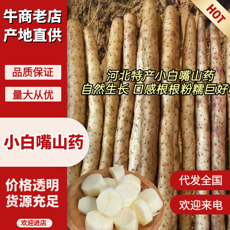 (推荐)河北小白嘴山药，铁棍山药，产地直供，量大质优，