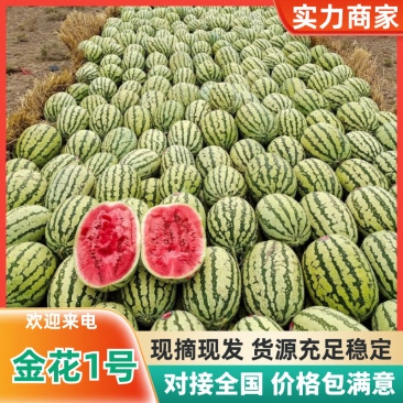 金花1号石头瓜硒砂瓜金花系列产地直发皮亮型好