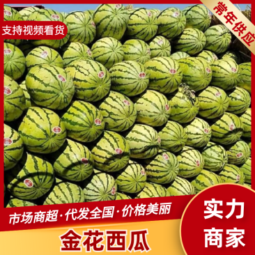 金花西瓜精品西瓜产地直供质量三包对接全国市场等
