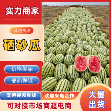 🅰硒砂瓜宁夏硒砂瓜宁夏西瓜产地直发对接全国市场