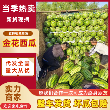 🅰金花西瓜产地直发皮薄瓜甜诚信经营专业团队