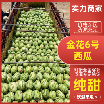 🅰金花6号西瓜精品西瓜产地直供皮亮型好包熟包甜