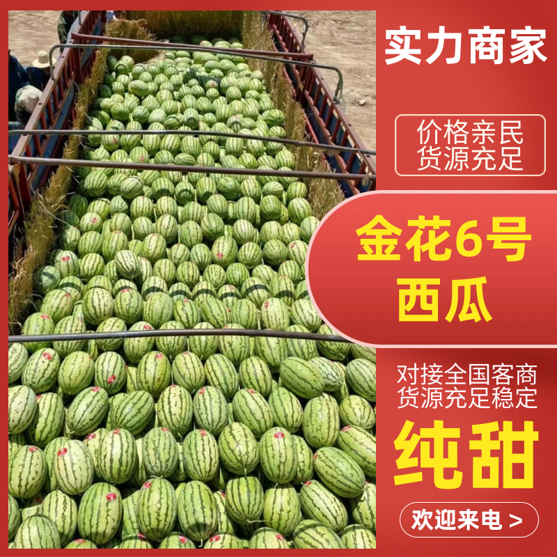 🅰金花6号西瓜精品西瓜产地直供皮亮型好包熟包甜