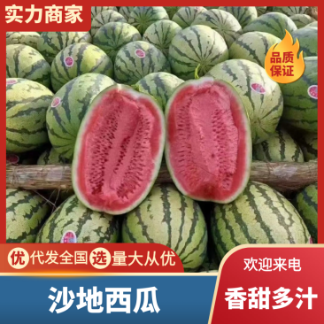 🅰沙地西瓜精品西瓜产地直发一条龙服务代发全国等