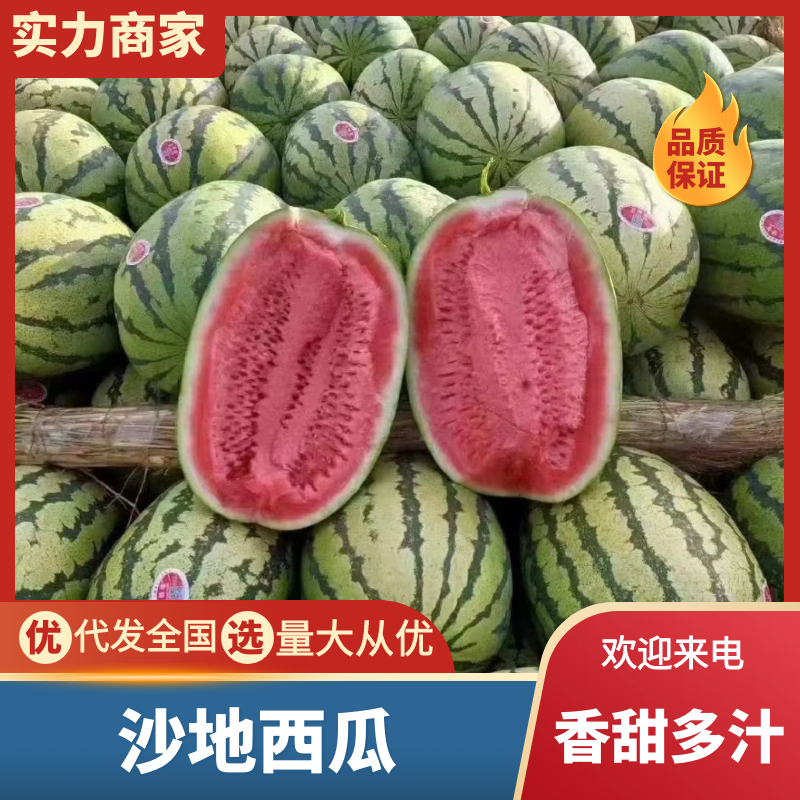 🅰沙地西瓜精品西瓜产地直发一条龙服务代发全国等