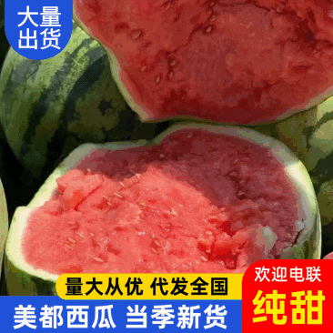 西瓜美都西瓜大量上市，皮薄瓜红味甜，对接市场