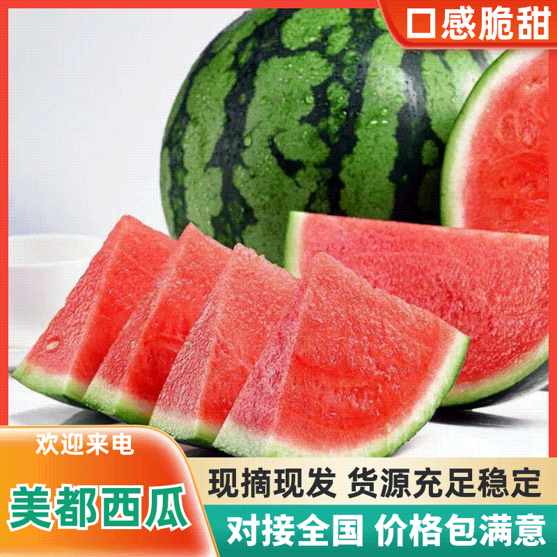 美都西瓜宁夏西瓜大量上市，头茬瓜价格美丽，欢迎咨询