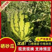 西瓜，宁夏硒砂瓜，石头瓜，大吨位皮薄瓤红耐运输