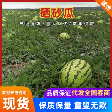 宁夏精品西瓜/硒砂瓜/石头瓜/全国代发保熟