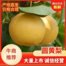 圆黄梨品质保证服务周到产地直发价格美丽